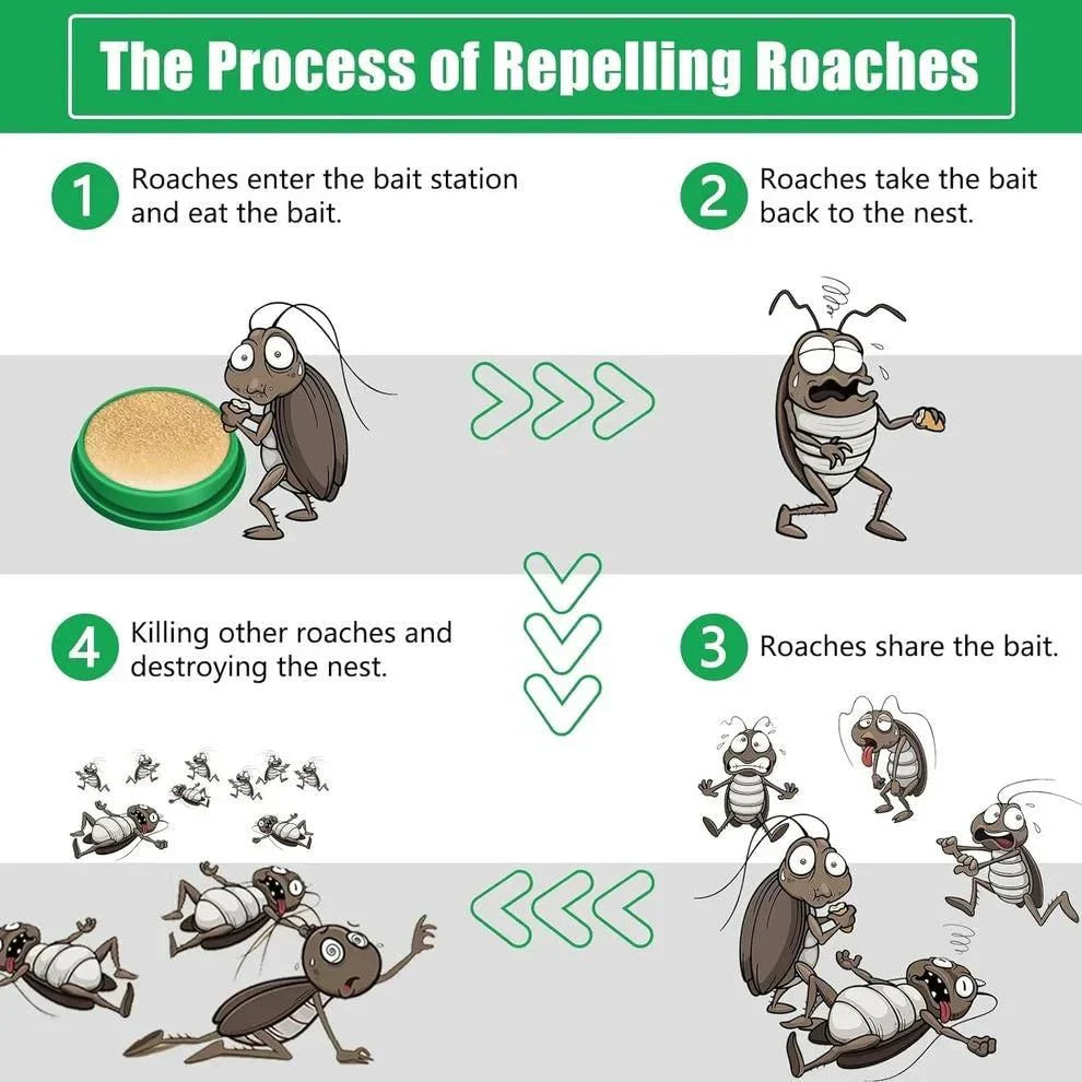 💥Japanese Roach Gel – Natural & Powerful 🌿