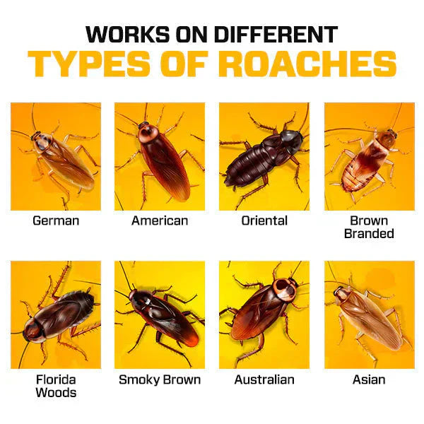 Natural Cockroach Killer Gel – Effective Pest Control for Kitchens & Bathrooms