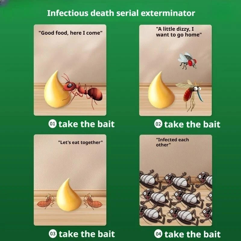 Household Cockroach Glue Bait Highly Effective Cockroach Killer