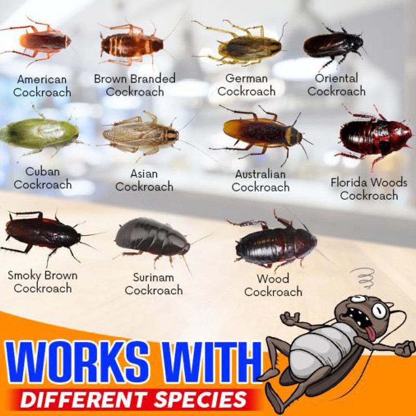 Cockroach Killer Gel Bait,Strong Cockroach Eliminator Syringe for Kitchen